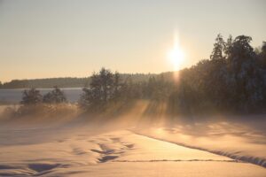winterlandschap met lage zon